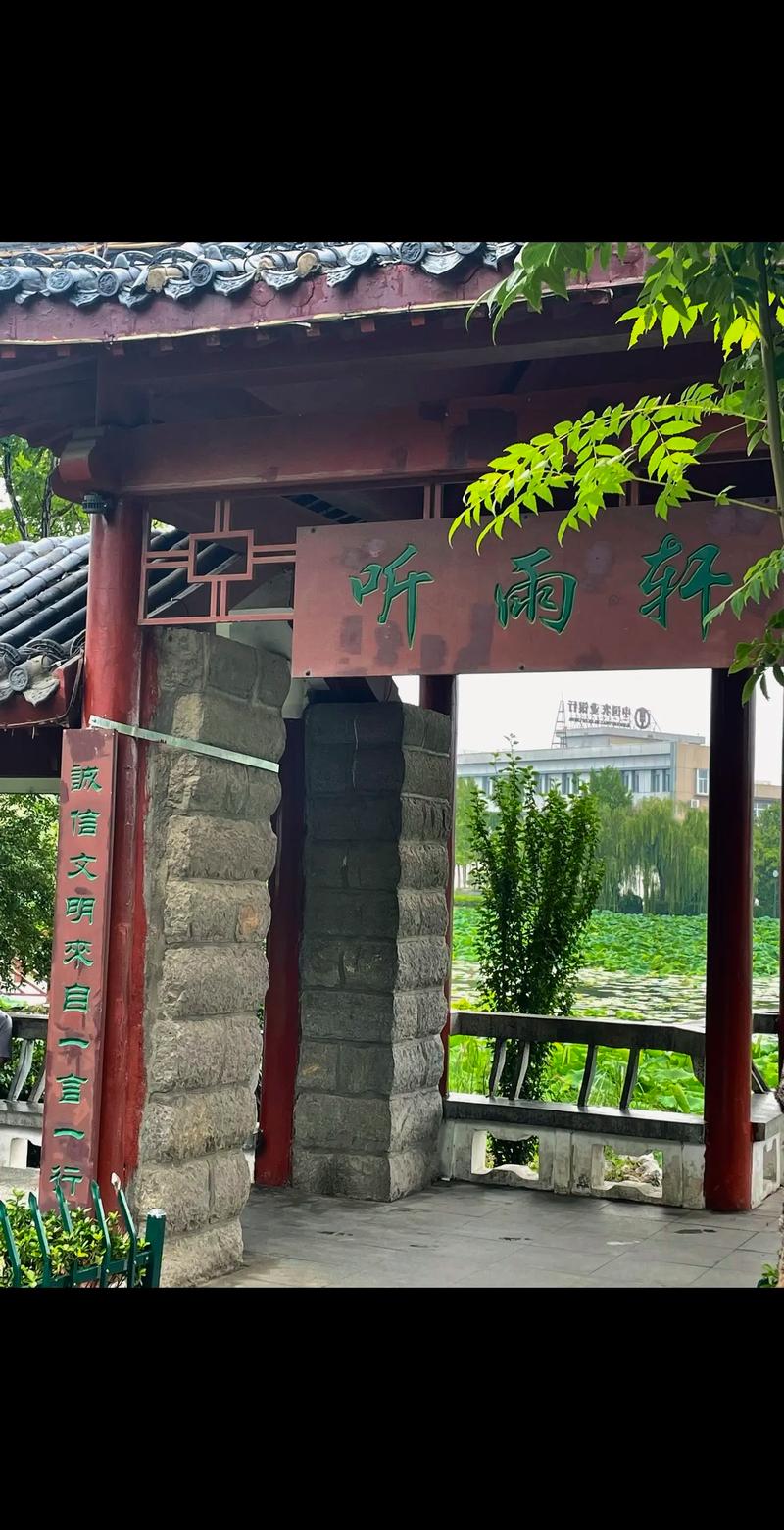 丰县在线：构建网络交流新平台